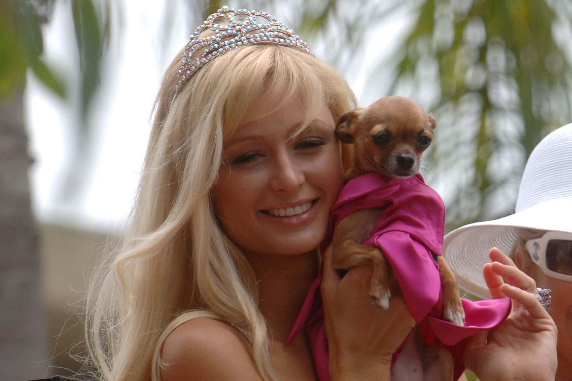 Paris Hilton Bought An 8,000 Dog Very Real