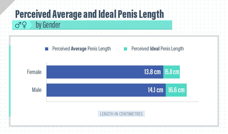 Ever Wondered What The Ideal Penis Size Is According To A Woman Very Real