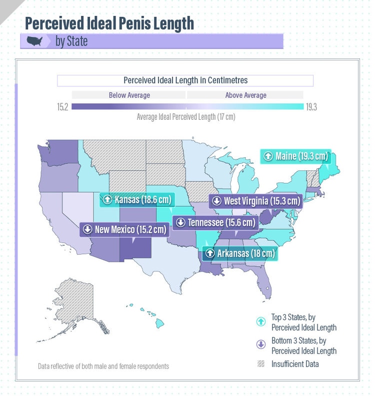 Ever Wondered What The Ideal Penis Size Is According To A