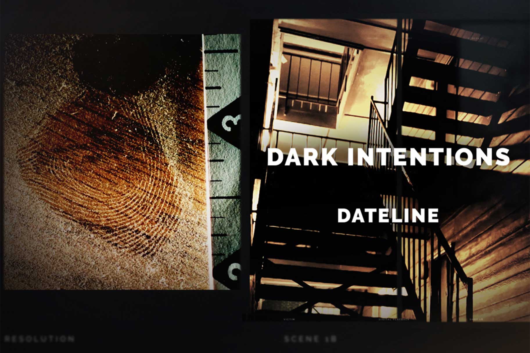 Dateline: Dark Intentions