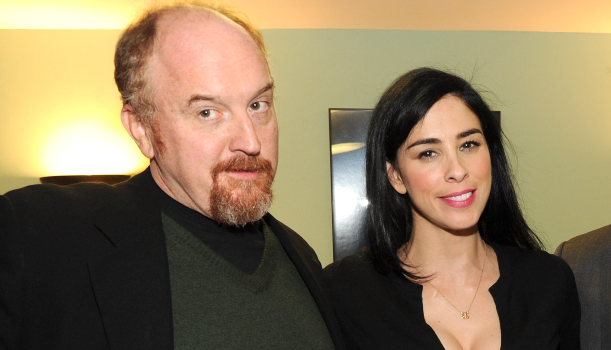 Baylee Howard Porn - Sarah Silverman Apologizes After Louis C.K. Comments Lead To ...