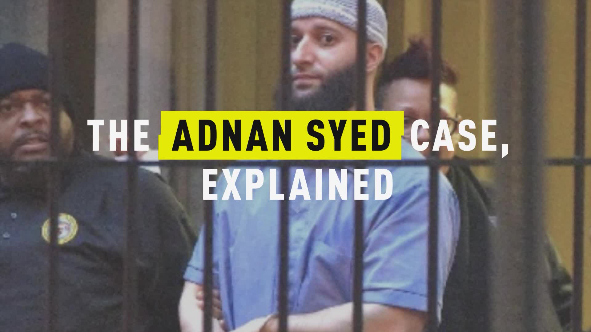 Watch The Adnan Syed Case Explained Famous Cases Explained Season 1 Video