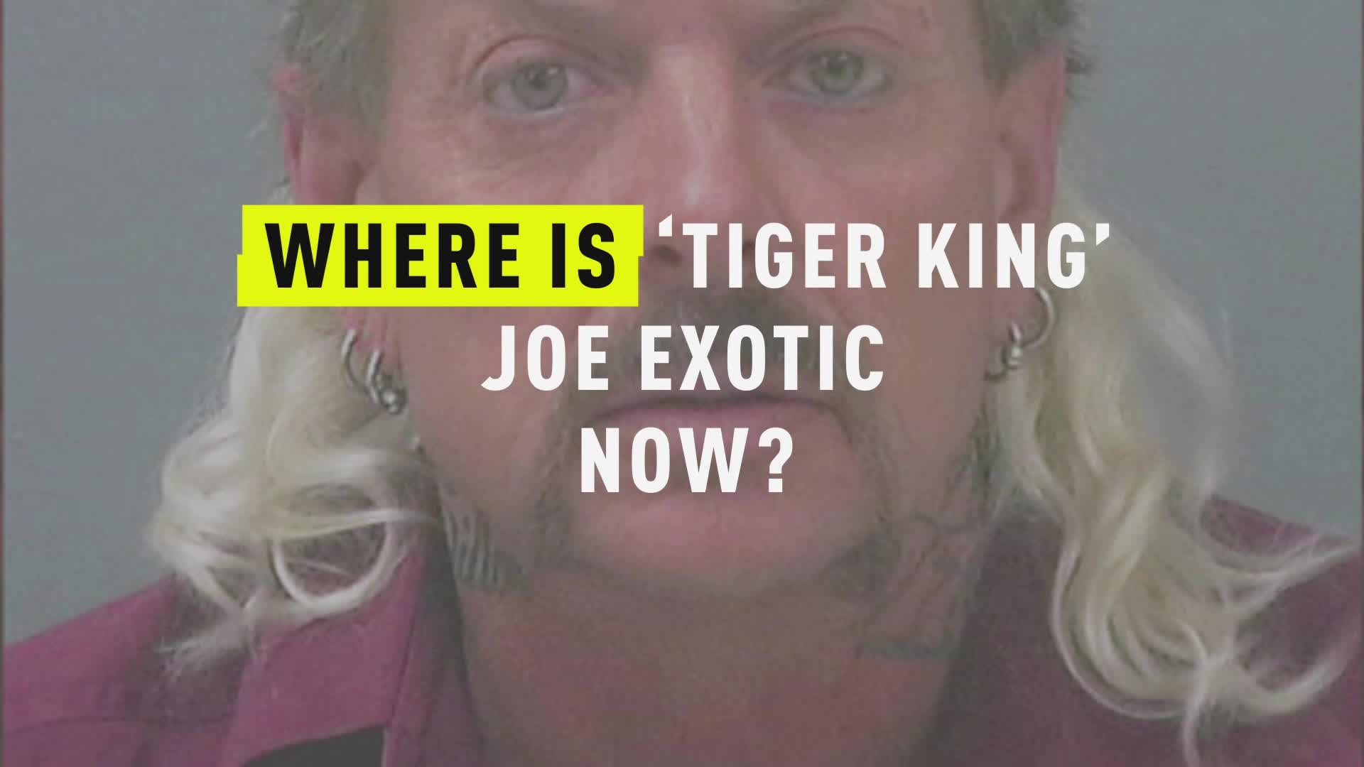 Tiger King What Happened To Zookeeper Joe Exotic True Crime Buzz