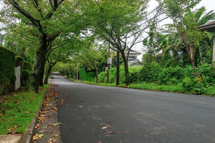 A suburban Neighborhood Street