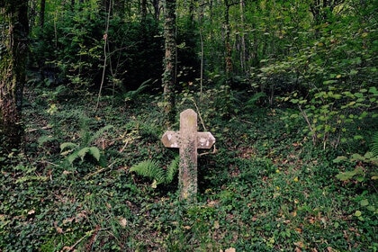 A Grave in a Wooded Area