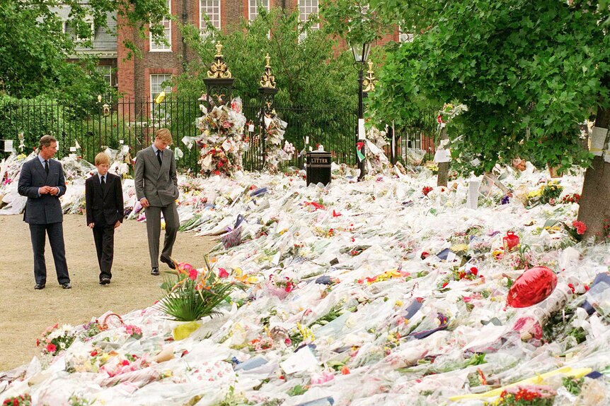 Revisiting The Investigation Into Princess Diana's Fatal Car Crash | Crime  News